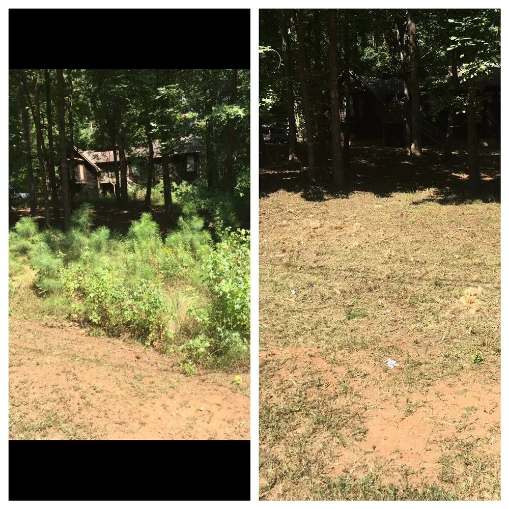 Top-rated landscaping services in Woodstock, GA by Envision Full Service Lawn Care