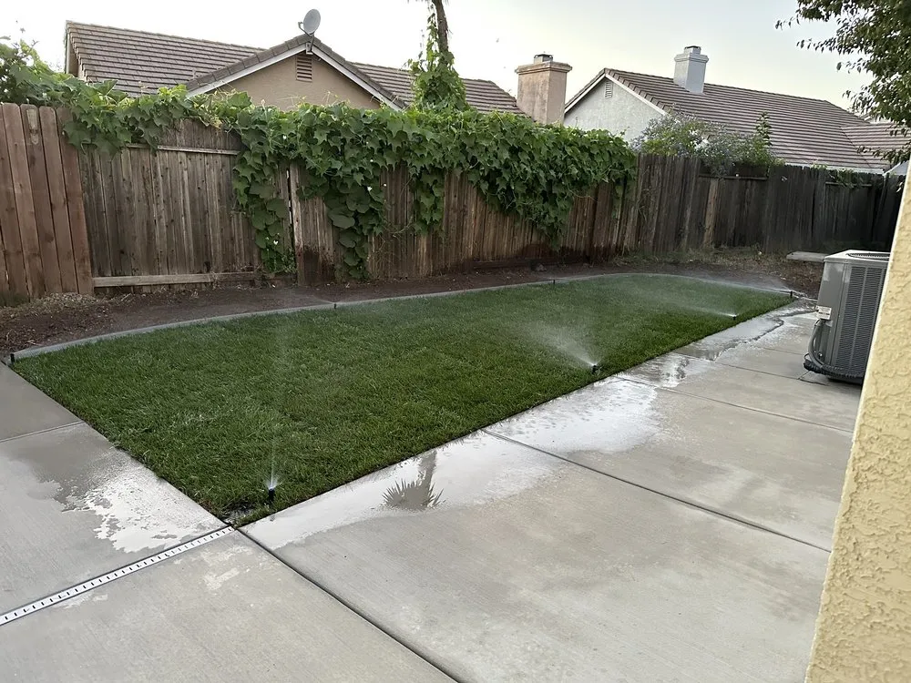 Custom landscaping services for beautiful yards in Elk Grove, CA by Envision Landscape & Design Corp