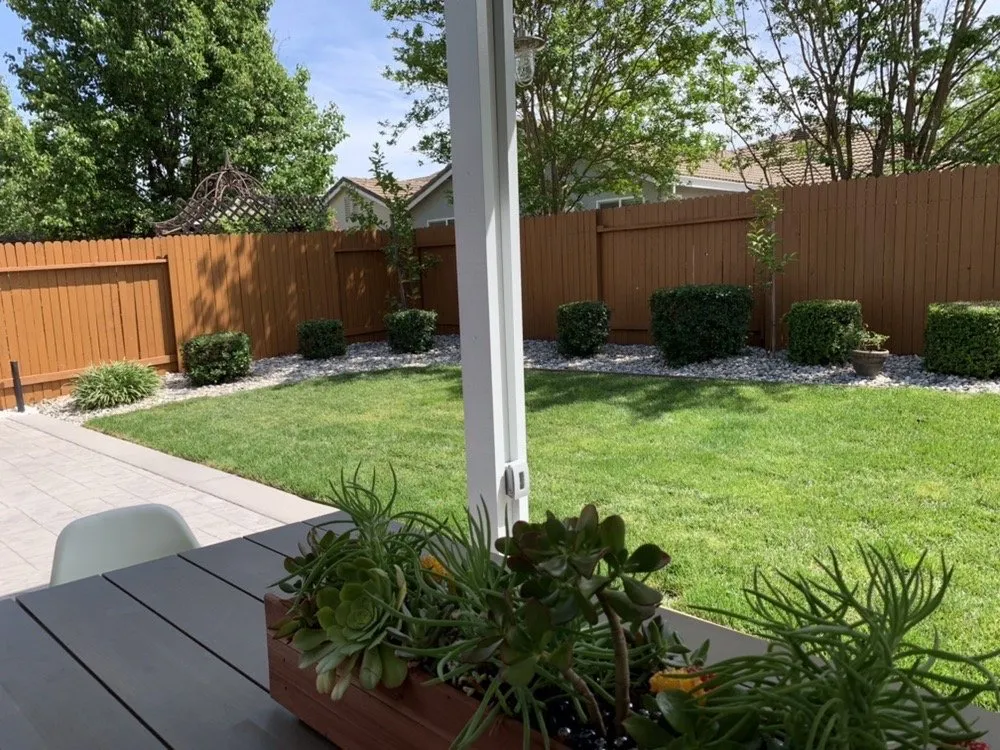 Local landscaping services in Elk Grove, CA - Envision Landscape & Design Corp