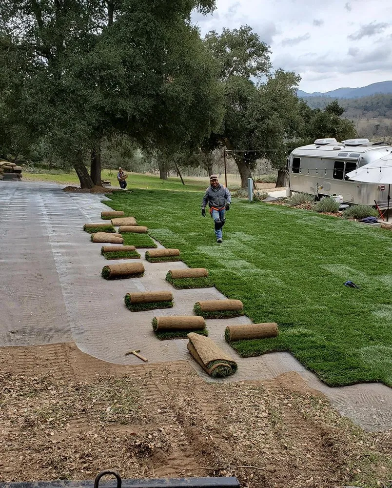 Reliable lawn care service in Santa Maria, CA by Envision landscape and maintenance