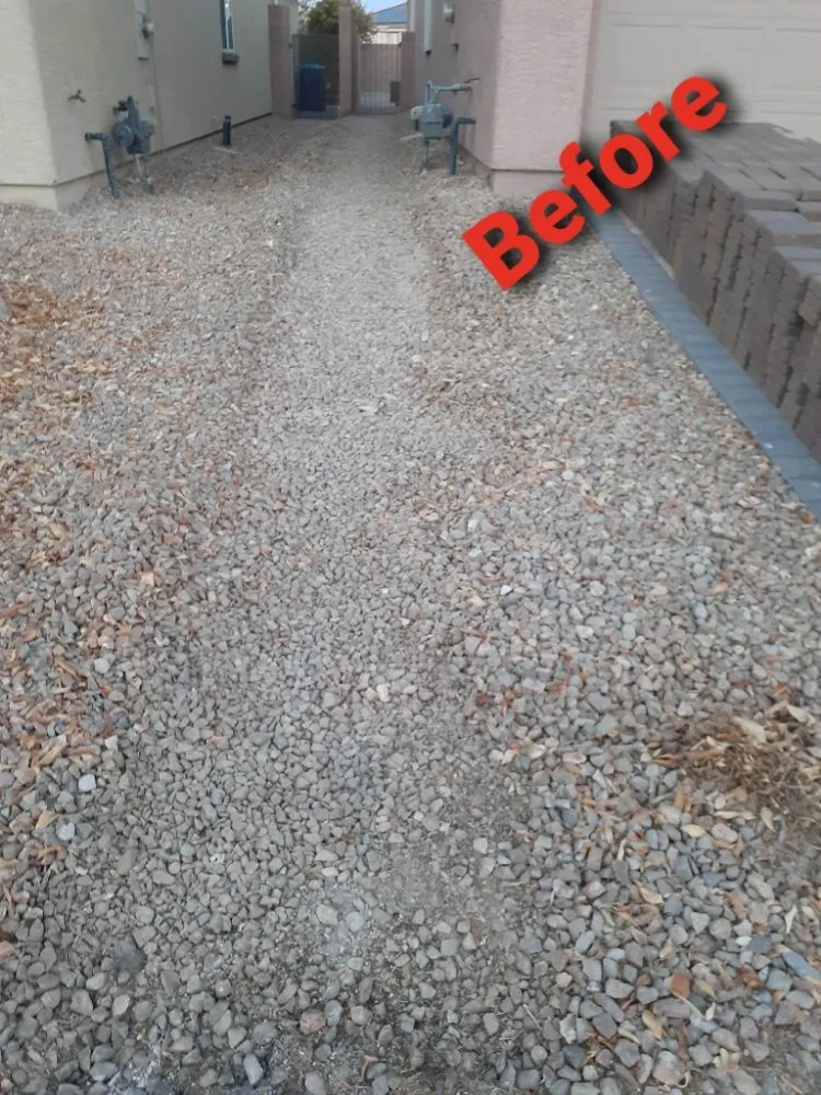 Local yard maintenance experts serving North Las Vegas, NV - Envision Landscape Design