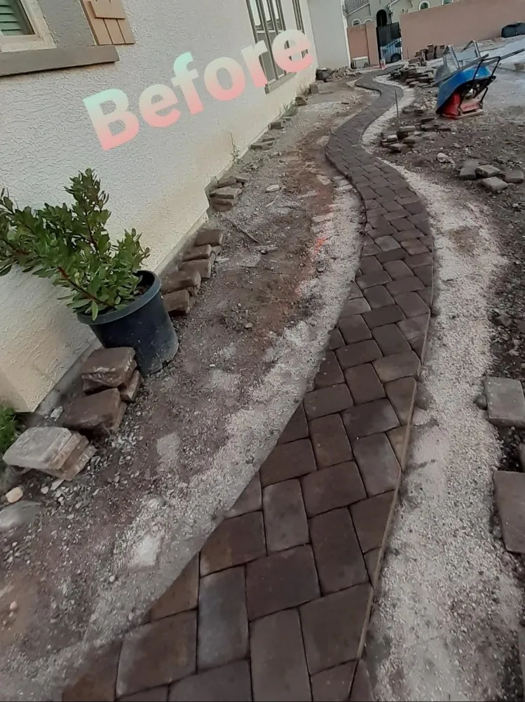 Trusted landscaping services for year-round maintenance in North Las Vegas, NV by Envision Landscape Design