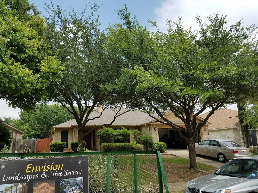Expert yard maintenance for homes in Round Rock, TX by Envision Landscapes & Tree Service