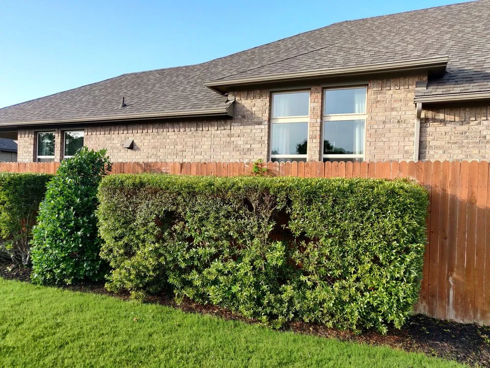 Local yard maintenance with custom design in Round Rock, TX by Envision Landscapes & Tree Service