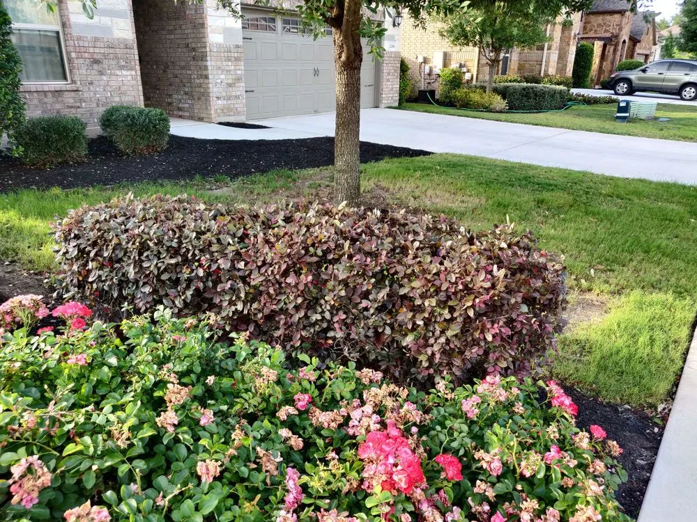 Expert yard maintenance in Round Rock, TX by Envision Landscapes & Tree Service