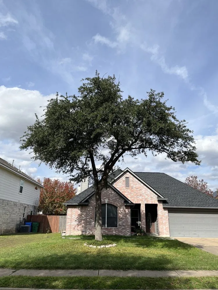 Trusted yard maintenance in Round Rock, TX - Envision Landscapes & Tree Service