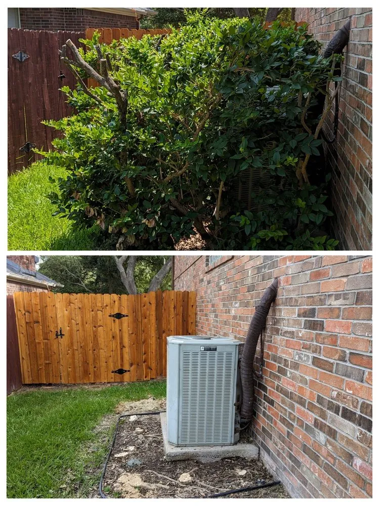 Professional lawn mowing service in Round Rock, TX - Envision Landscapes & Tree Service