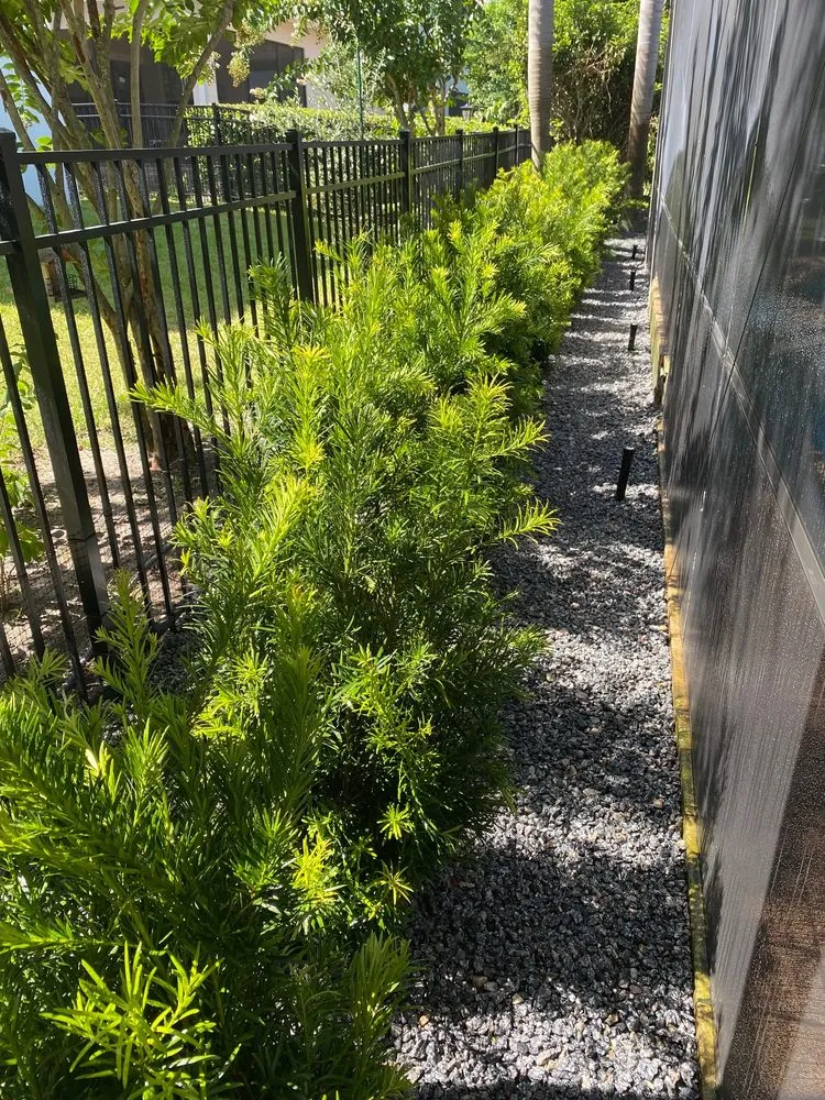 Affordable landscape installation experts serving St. Cloud, FL - Envision Outdoors