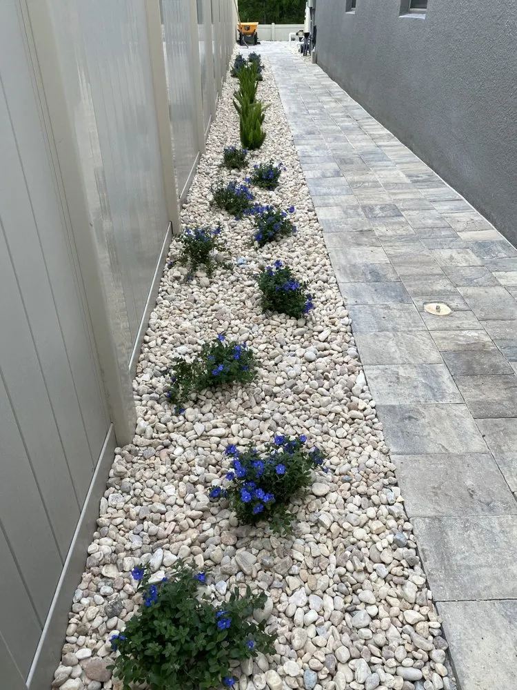 Top-rated yard cleanup service experts serving St. Cloud, FL - Envision Outdoors