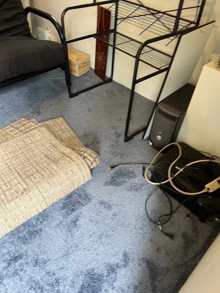 Trusted residential landscaping for homes across Quakertown, PA - Envision Pro Services