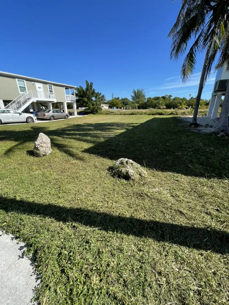 Expert yard cleanup service in Homestead, FL by Envy Landscape Services