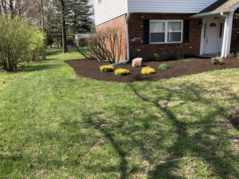 Affordable yard cleanup service in Williamsburg, OH by Envy Lawn and Landscape