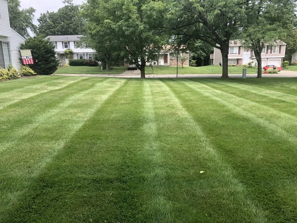 Local yard cleanup service near you across Williamsburg, OH - Envy Lawn and Landscape