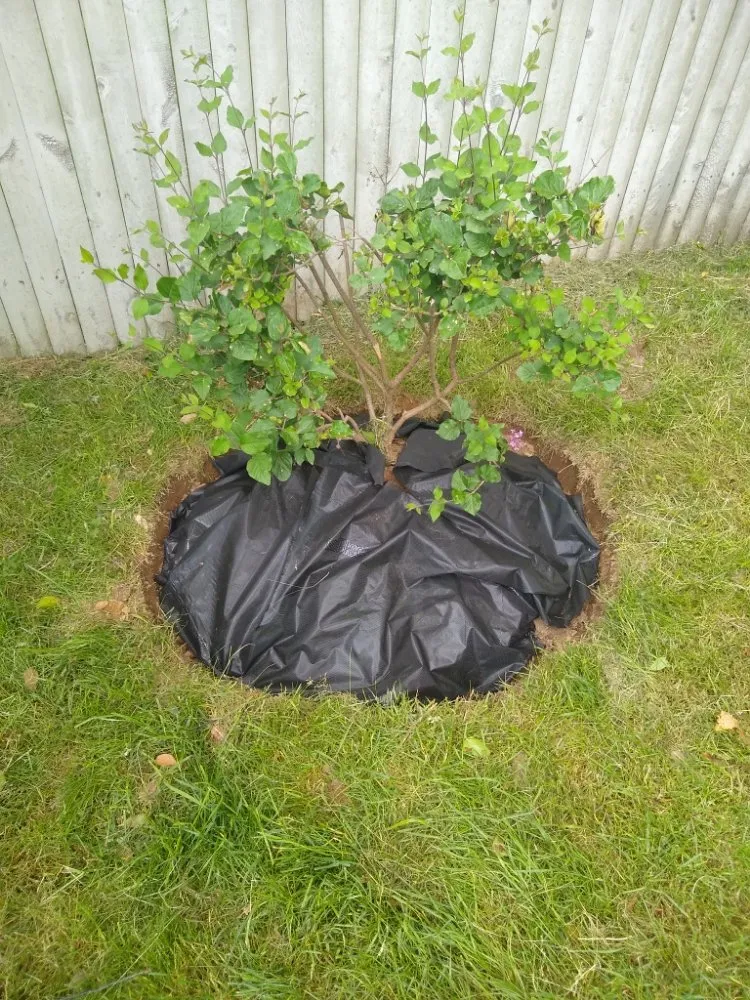 Reliable residential landscaping in Westerly, RI by ENVY Lawn and Landscapes