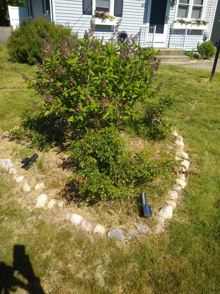 Affordable lawn mowing service experts serving Westerly, RI - ENVY Lawn and Landscapes