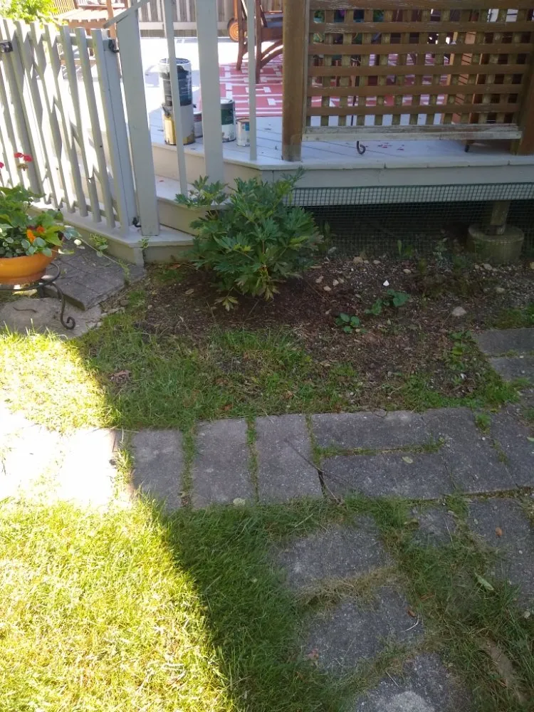 Affordable landscape design in Westerly, RI by ENVY Lawn and Landscapes