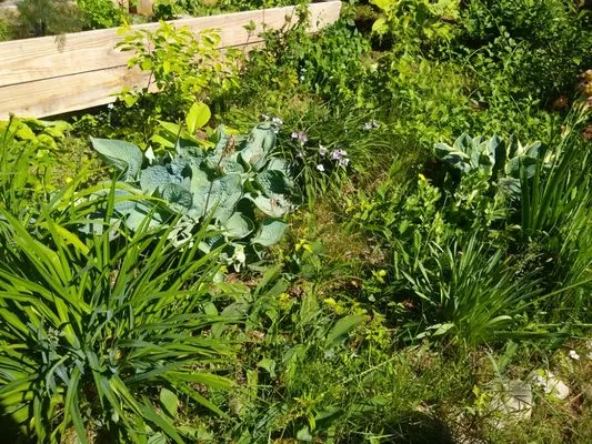 ENVY Lawn and Landscapes