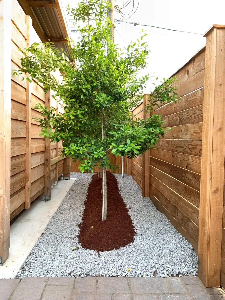 Expert landscape installation near you across Destrehan, LA - Envy Lawn Care