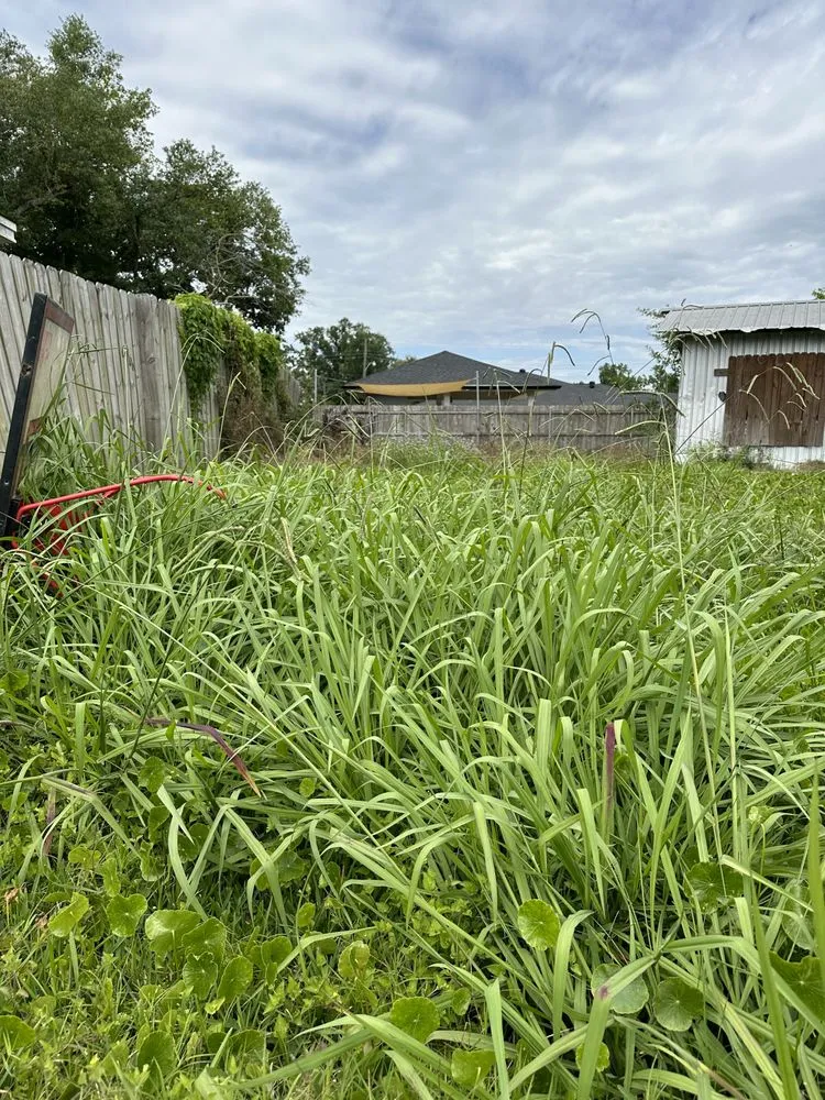 Reliable yard maintenance in Destrehan, LA by Envy Lawn Care
