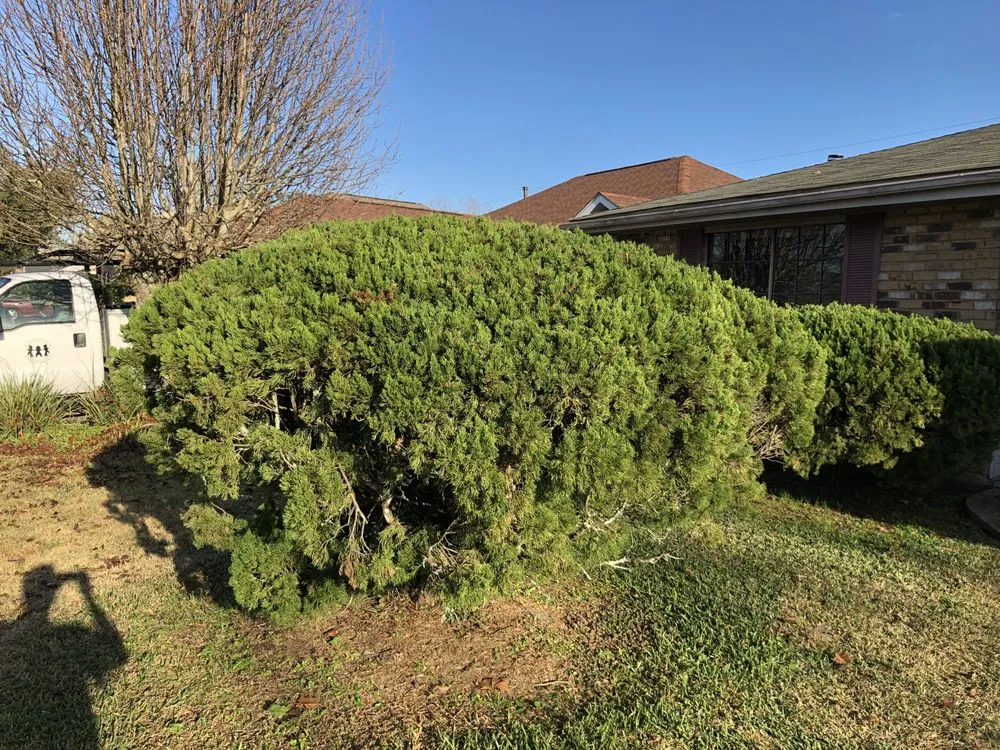 Custom landscape installation experts serving Destrehan, LA - Envy Lawn Care