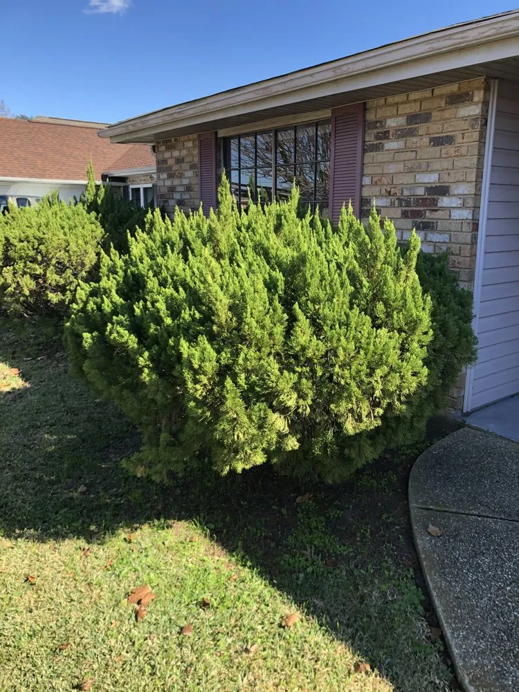 Custom garden landscaping for residential properties in Destrehan, LA by Envy Lawn Care