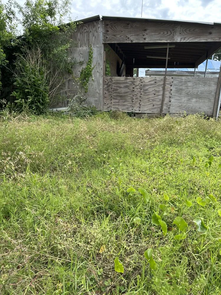 Top-rated lawn mowing service with custom design in Destrehan, LA by Envy Lawn Care