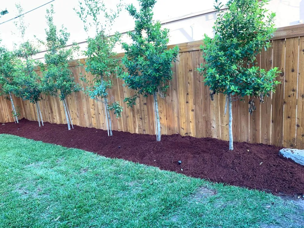 Professional residential landscaping experts serving Destrehan, LA - Envy Lawn Care