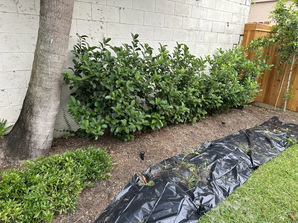 Top-rated outdoor landscaping for year-round maintenance in Destrehan, LA by Envy Lawn Care
