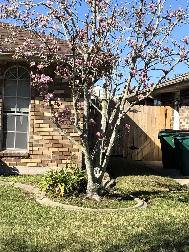 Reliable outdoor landscaping experts serving Destrehan, LA - Envy Lawn Care