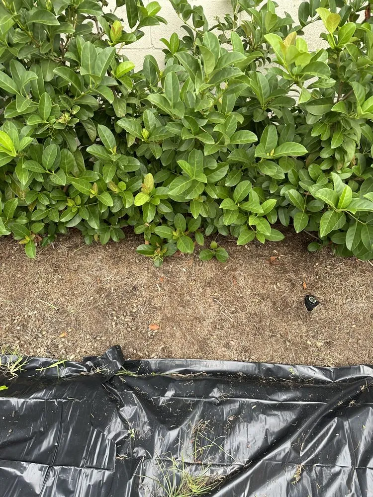 Top-rated landscape design for beautiful yards in Destrehan, LA by Envy Lawn Care