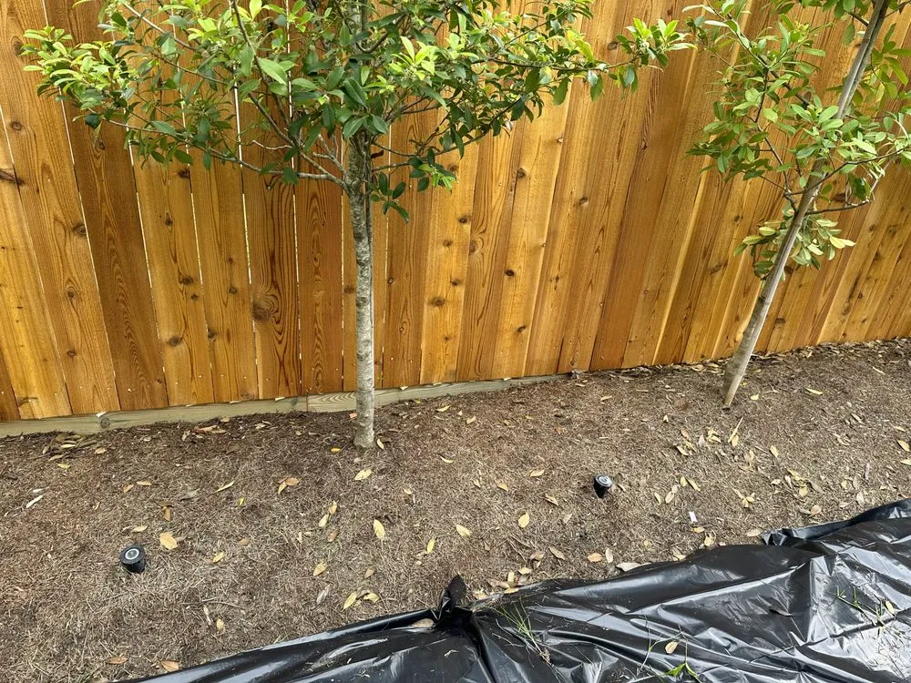 Expert outdoor landscaping in Destrehan, LA - Envy Lawn Care