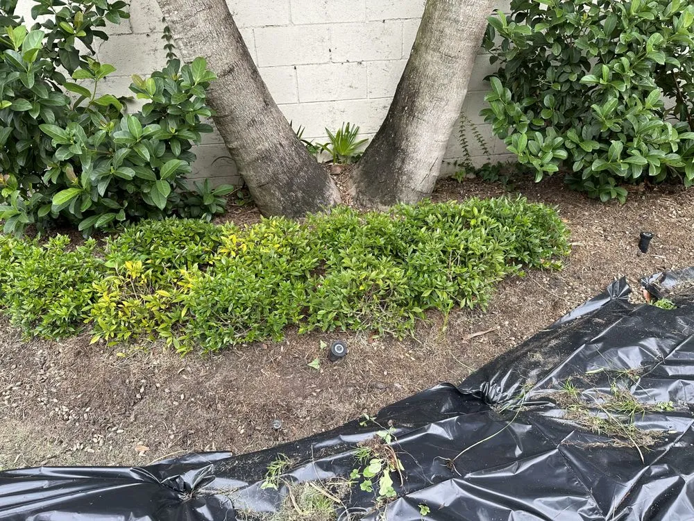 Professional lawn mowing service in Destrehan, LA - Envy Lawn Care