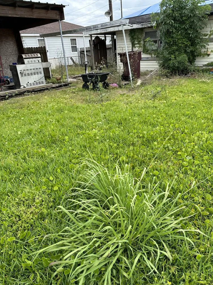 Affordable lawn mowing service with custom design across Destrehan, LA - Envy Lawn Care