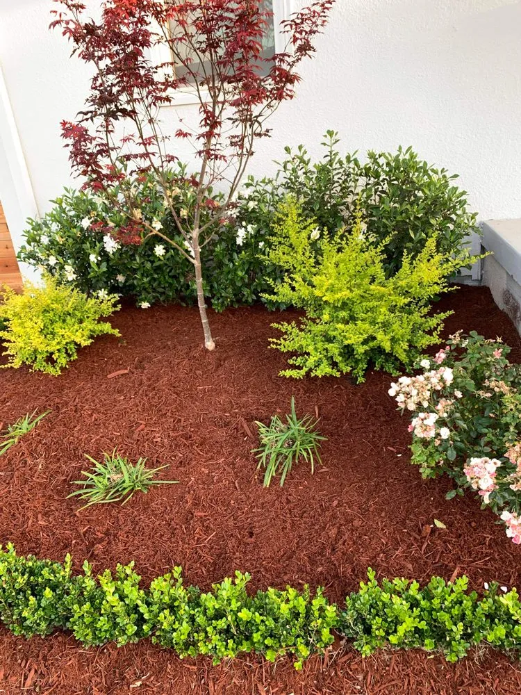 Local lawn mowing service in Destrehan, LA by Envy Lawn Care