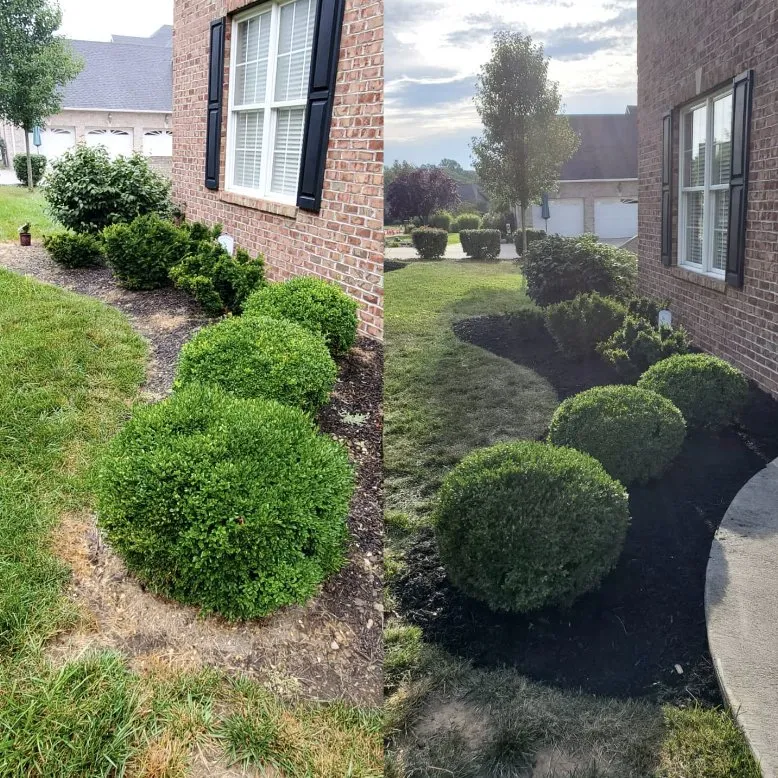 Trusted outdoor landscaping in Charleston, WV by ENVY Pristine Landscapes