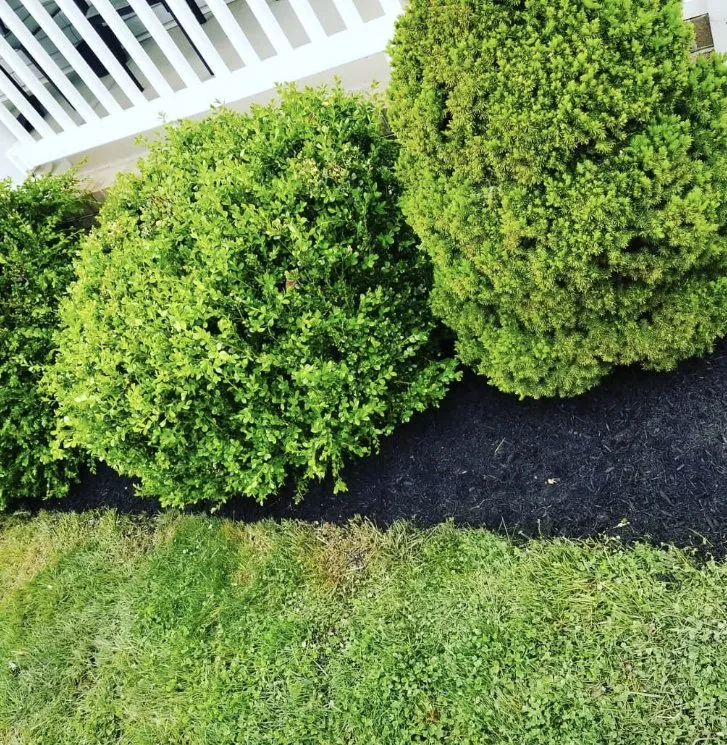 Expert landscape design for homes in Charleston, WV by ENVY Pristine Landscapes