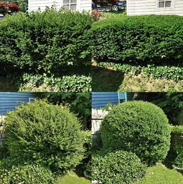 Trusted outdoor landscaping in Charleston, WV - ENVY Pristine Landscapes