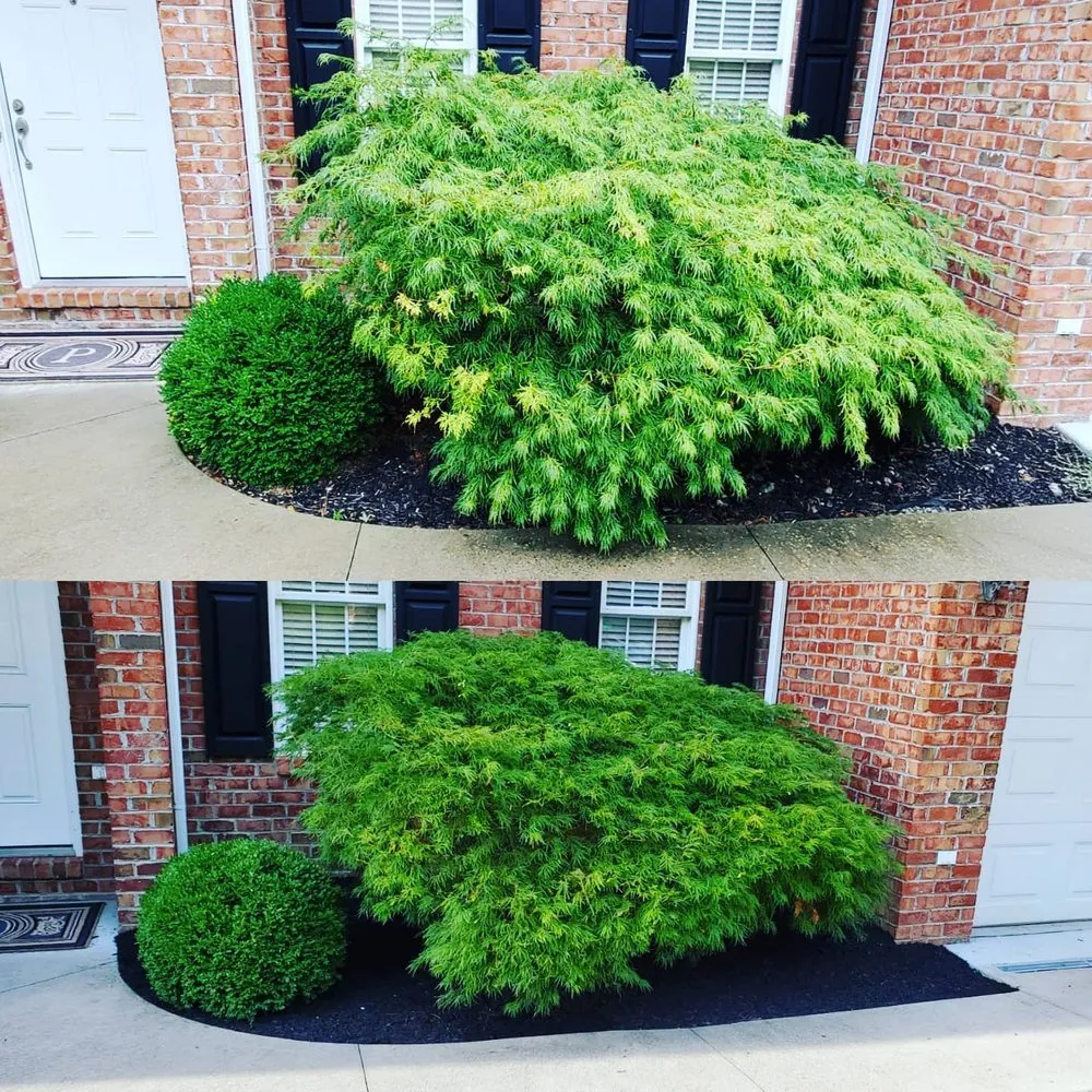 Top-rated lawn care service experts serving Charleston, WV - ENVY Pristine Landscapes
