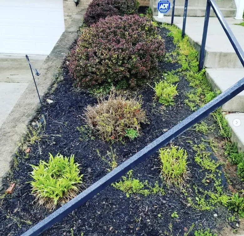 Local garden landscaping near you across Charleston, WV - ENVY Pristine Landscapes
