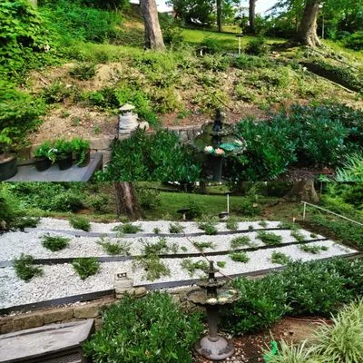 ENVY Pristine Landscapes