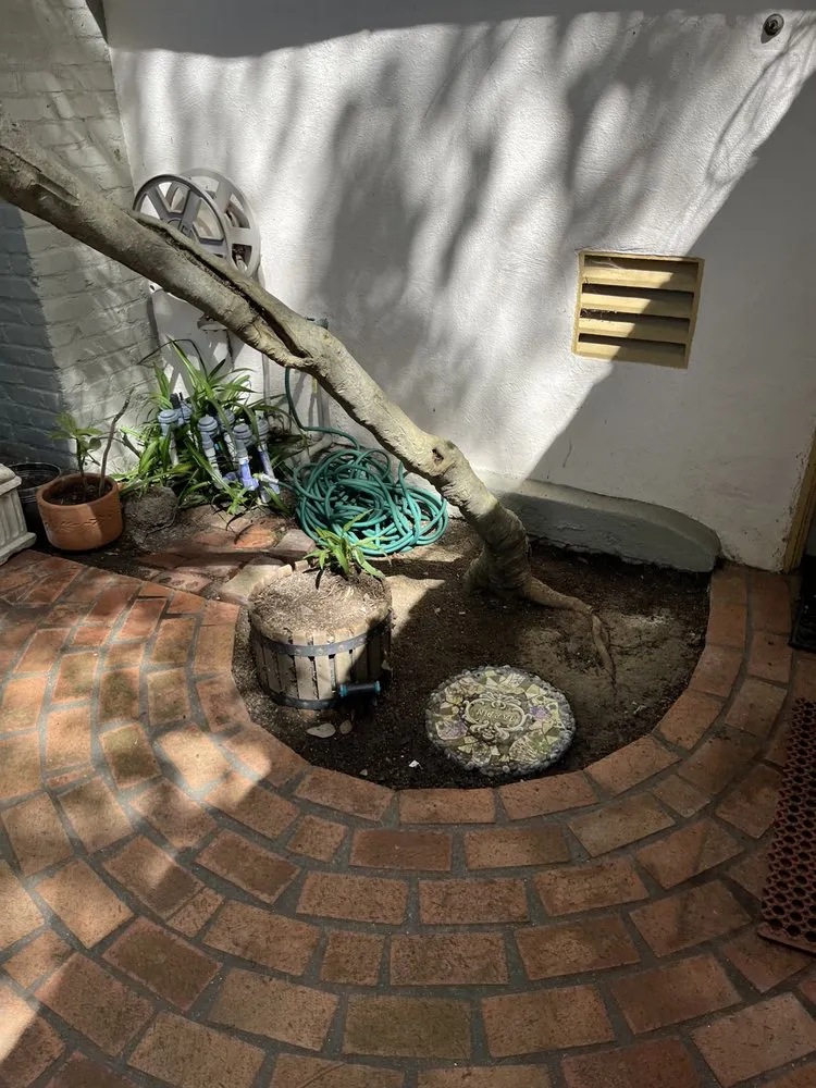 Trusted lawn care service in San Diego, CA by Enzo’s Landscaping