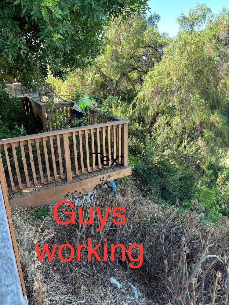 Local lawn care service for outdoor upgrades across San Diego, CA - Enzo’s Landscaping