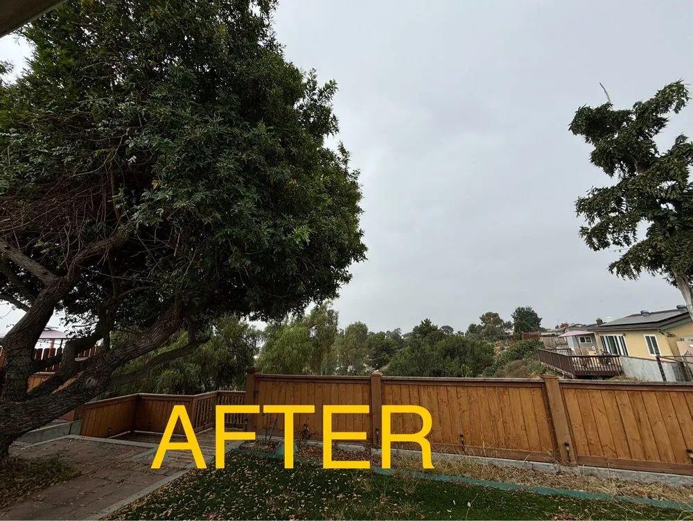 Local lawn mowing service for homes across San Diego, CA - Enzo’s Landscaping