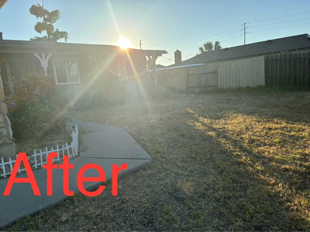 Affordable outdoor landscaping in San Diego, CA by Enzo’s Landscaping