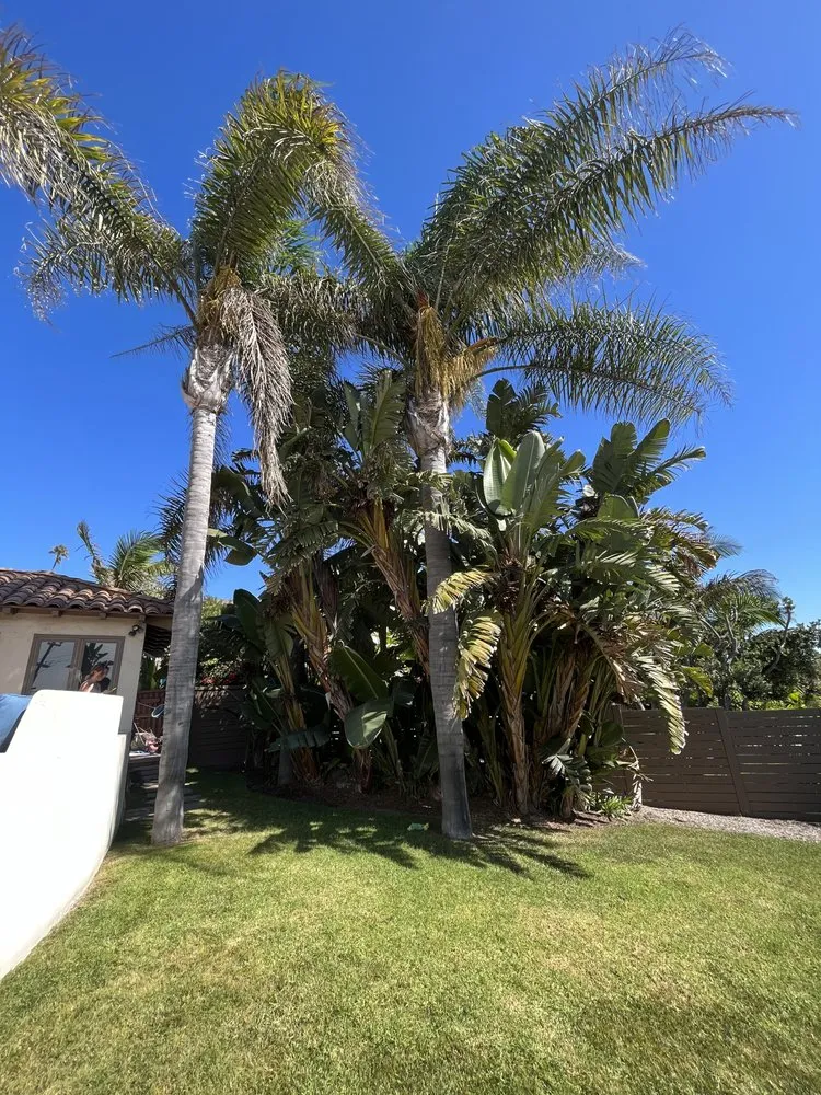 Reliable residential landscaping with custom design in San Diego, CA by Enzo’s Landscaping