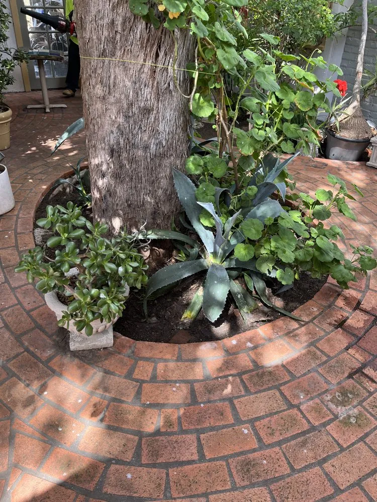 Top-rated residential landscaping for homes in San Diego, CA by Enzo’s Landscaping