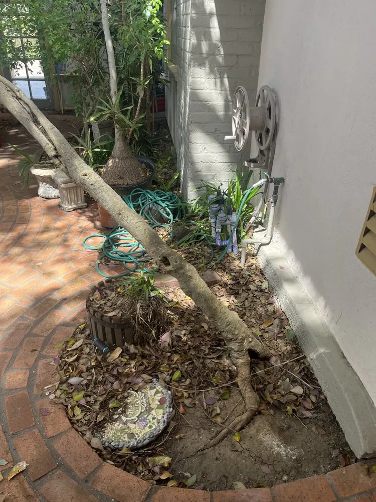 Professional landscape design experts serving San Diego, CA - Enzo’s Landscaping