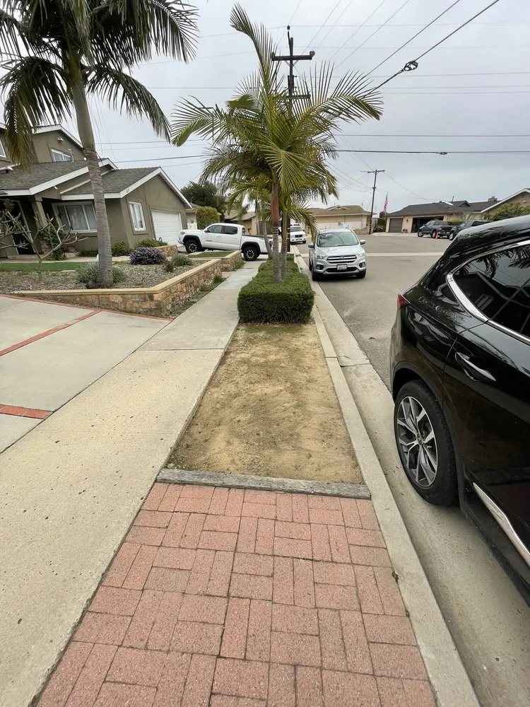 Top-rated residential landscaping in San Diego, CA - Enzo’s Landscaping