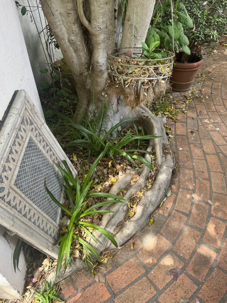 Affordable landscape design for residential properties in San Diego, CA by Enzo’s Landscaping