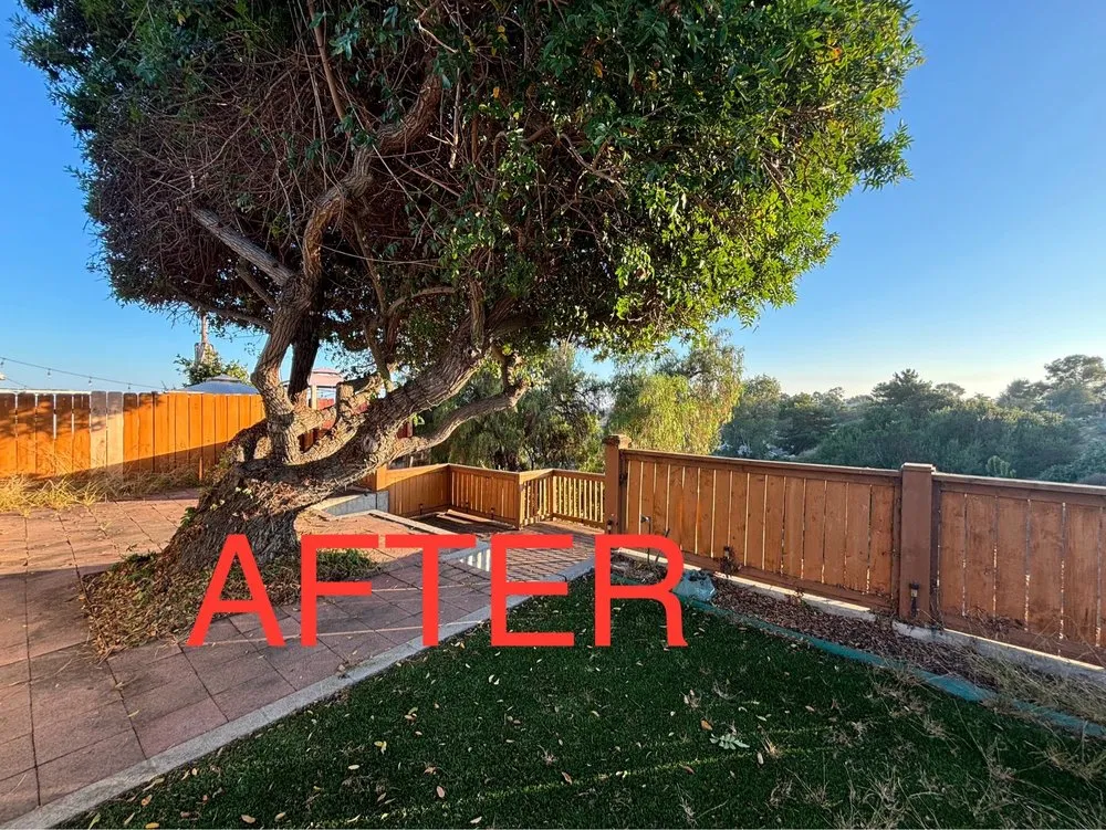 Trusted garden landscaping in San Diego, CA by Enzo’s Landscaping